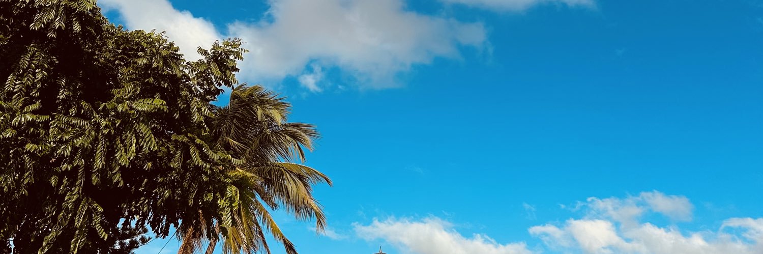 AleeFerman's profile banner image
