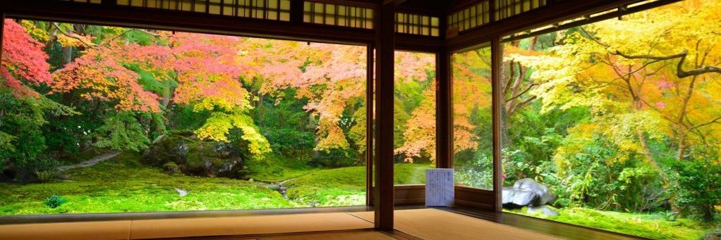 114 🇹🇼 banner