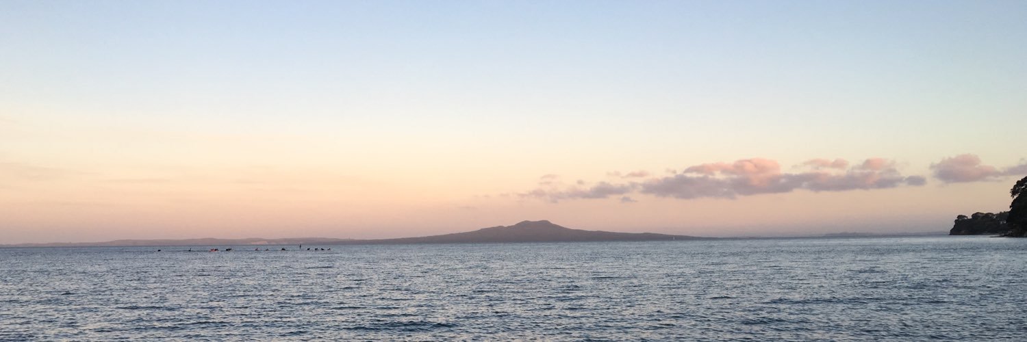 MelisaCarullo's profile banner image