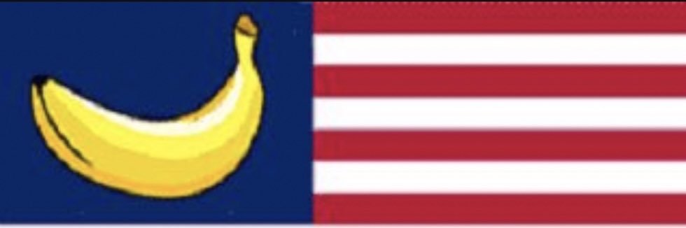 Michele Vakerics banner