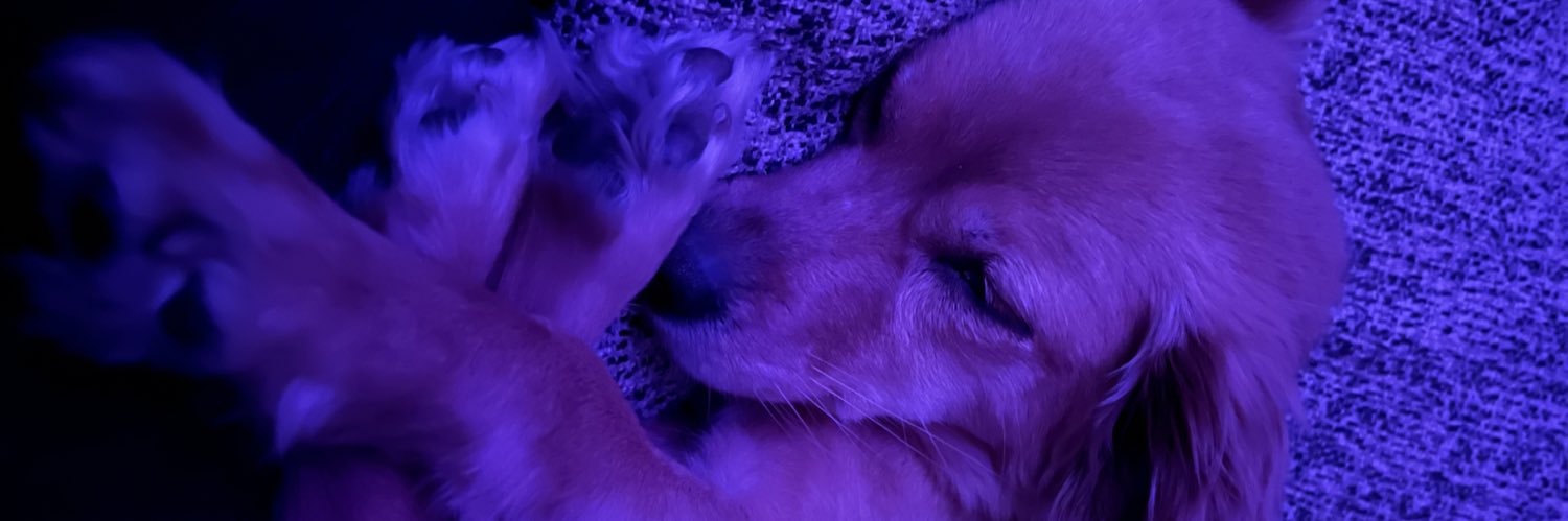 Aamanaa's profile banner image
