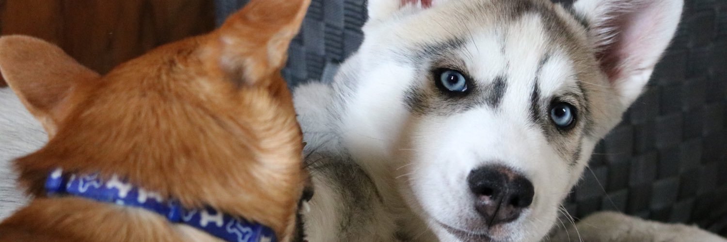 BryanPC22's profile banner image