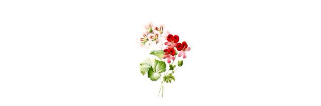 bangwithjustin's profile banner image