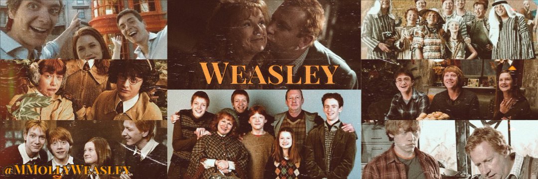 Bill Weasley banner