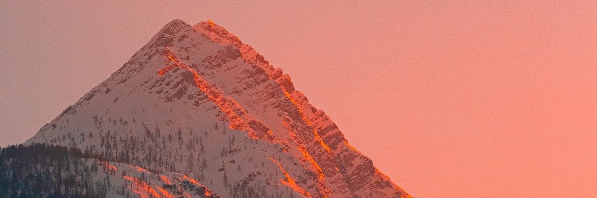 CorelliC's profile banner image