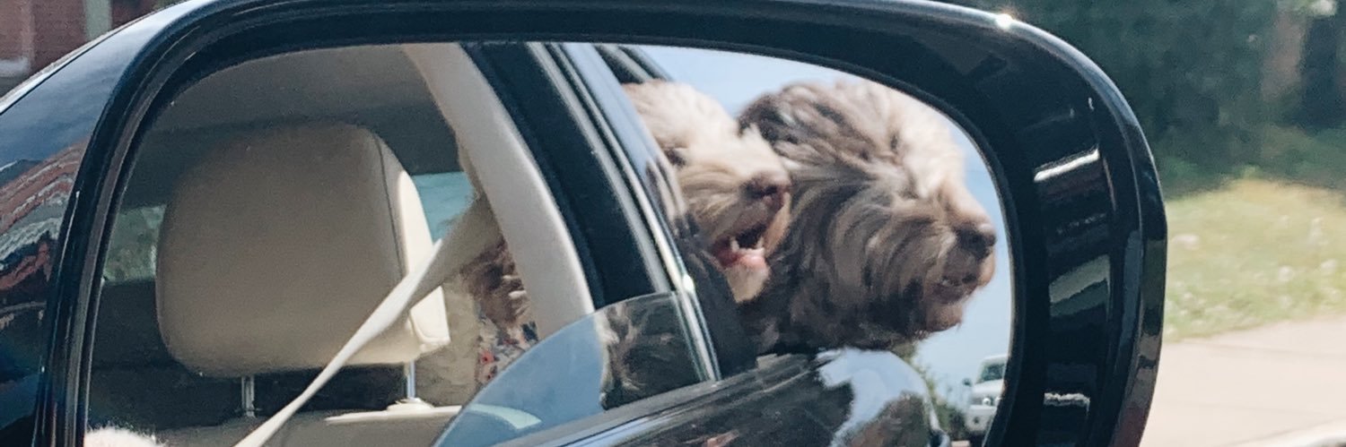 krbrewis's profile banner image