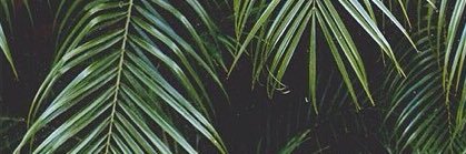 Moayad_Tn's profile banner image