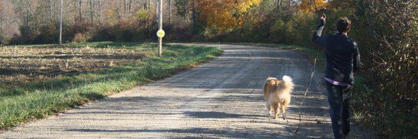 ItsKocot Profile Banner