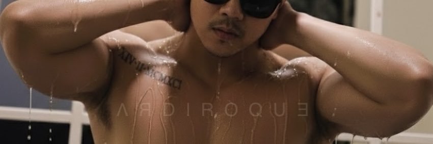ardiroque's profile banner image