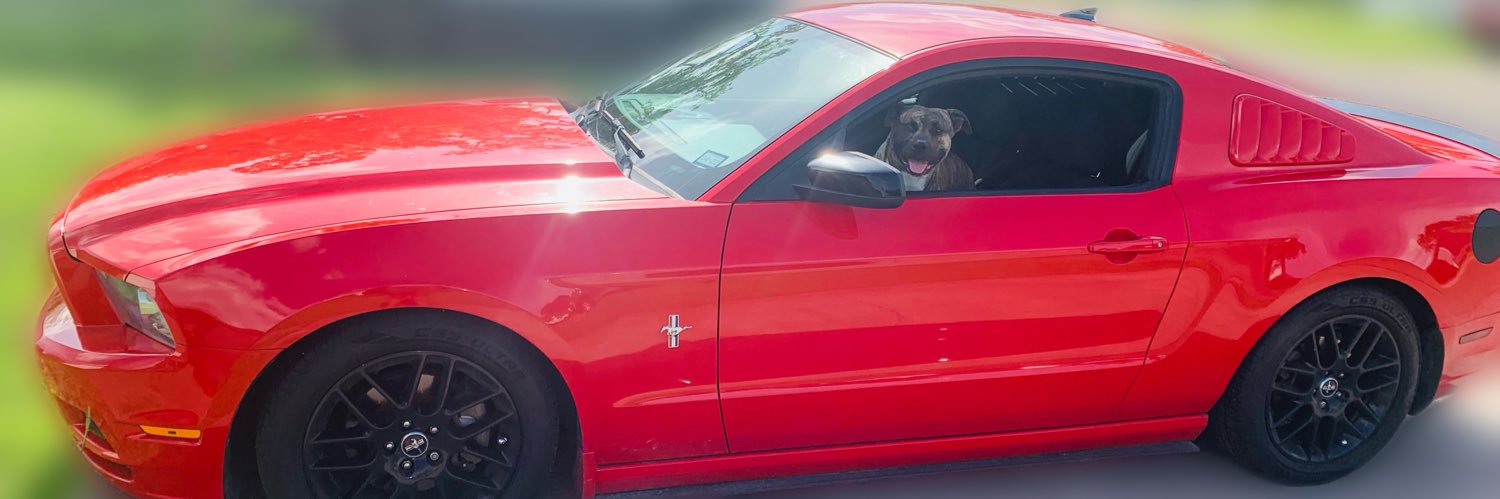 AshleyAlonso03's profile banner image