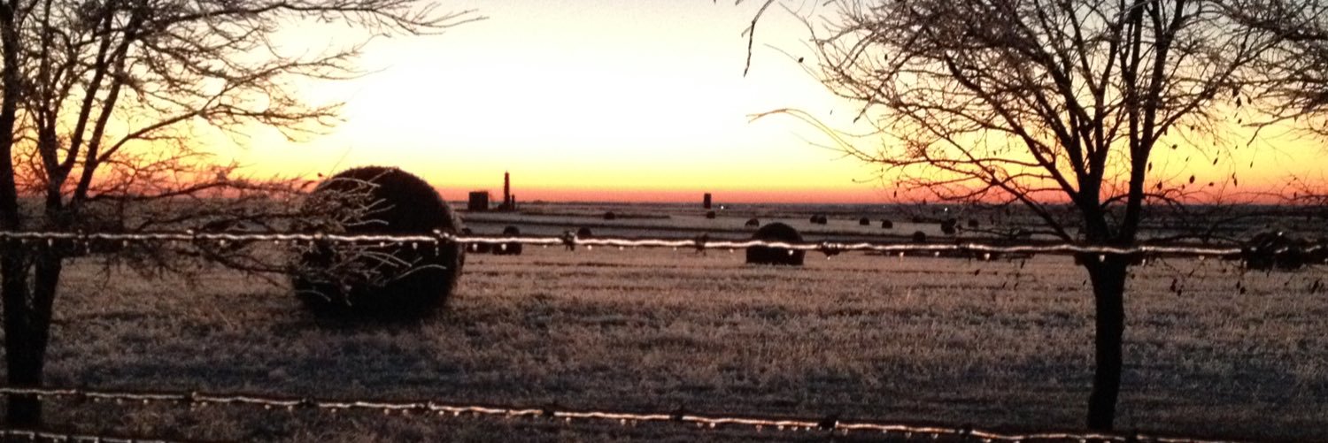 Kate Harrison banner