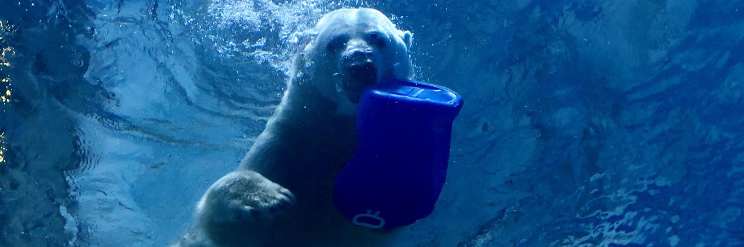 Isbjørn Šødä banner