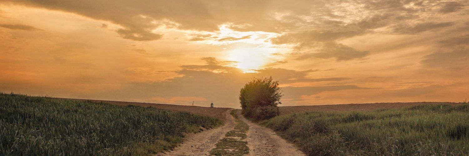 David V.D Smissen banner