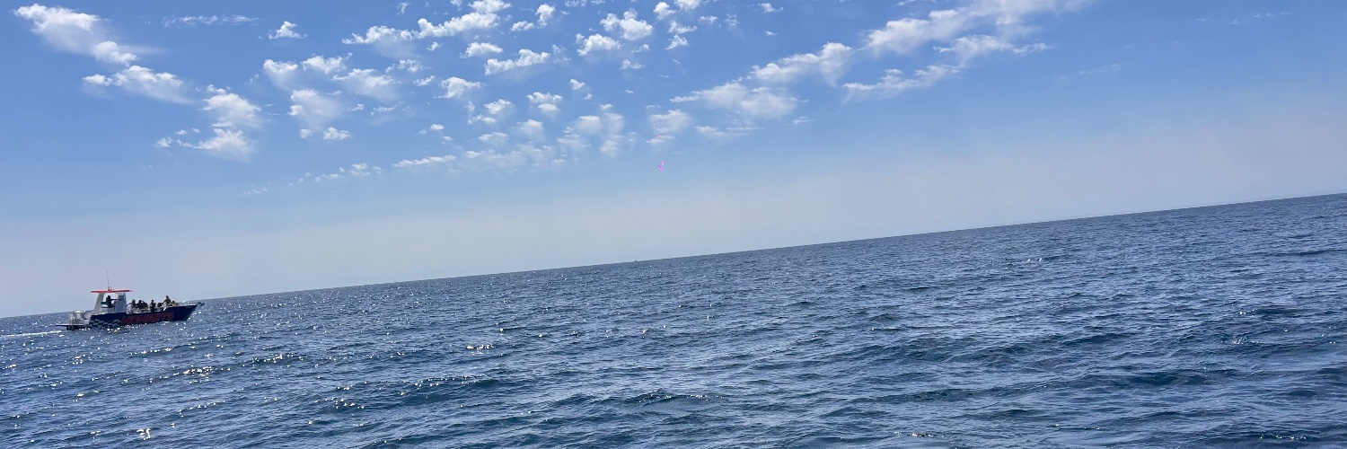 anmolsud's profile banner image