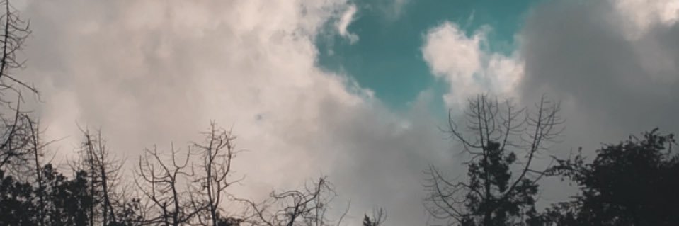 ثامر ☢︎ banner