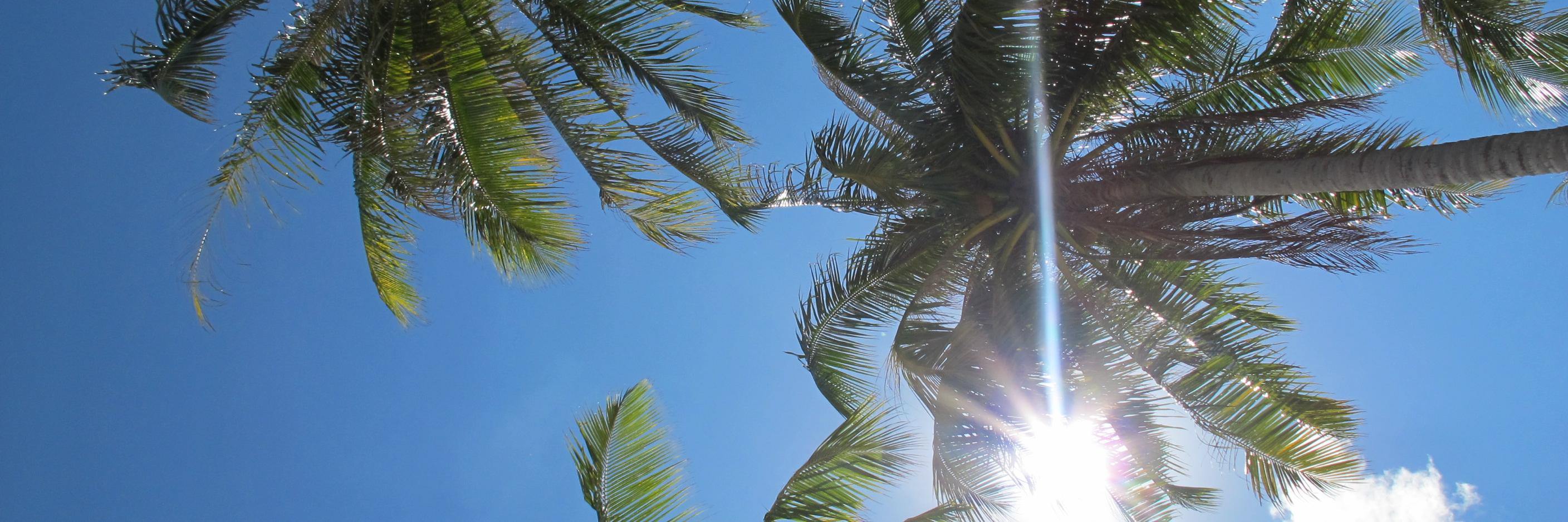 Kimberly Gillan banner