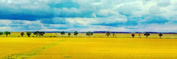 umitak Profile Banner