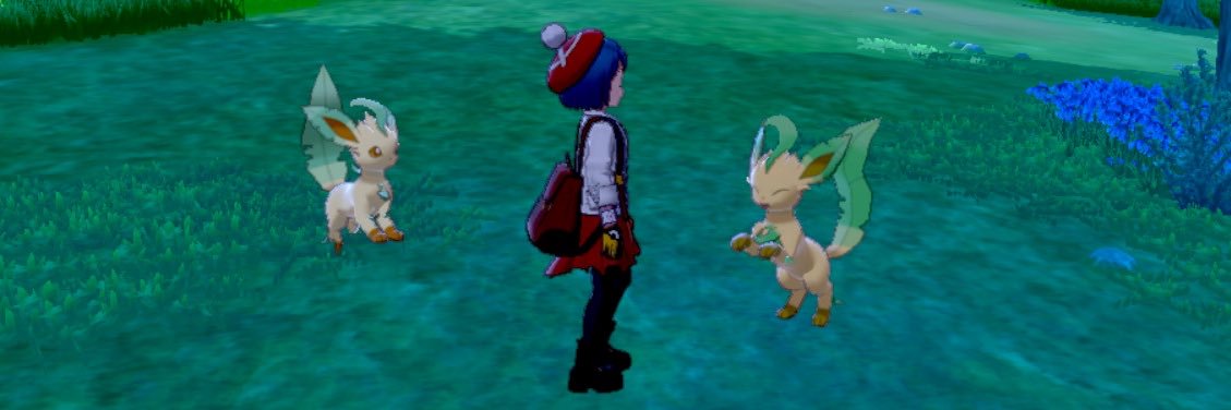 SikiLibrary's profile banner image
