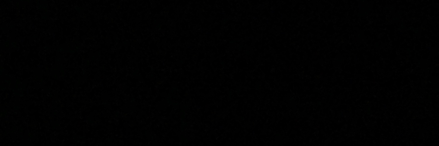 pettypaint's profile banner image