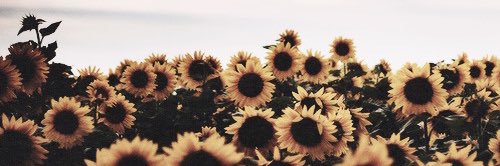 AprilAussieGirl's profile banner image