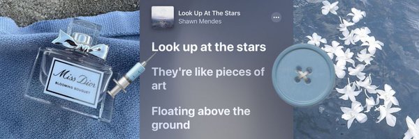 softslian Profile Banner