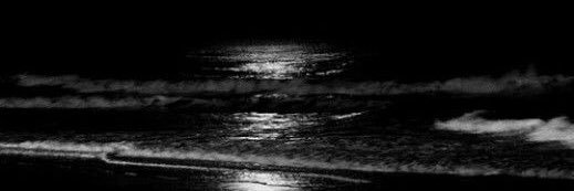 max8889's profile banner image