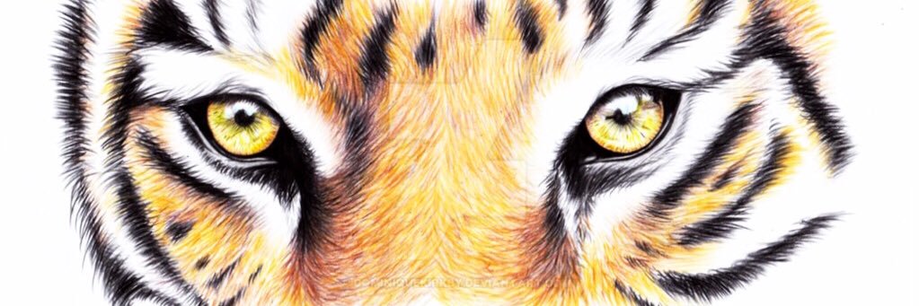 vsofyan8's profile banner image
