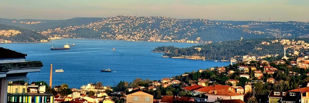 ZeynepTurker's profile banner image