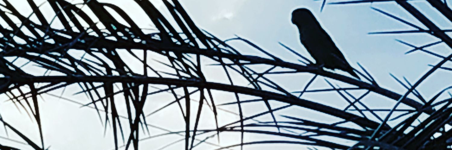 jhonja34211's profile banner image