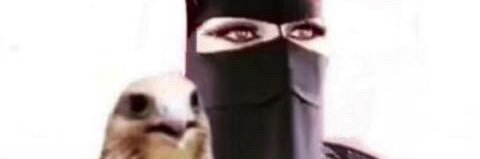 Alglaa_511's profile banner image