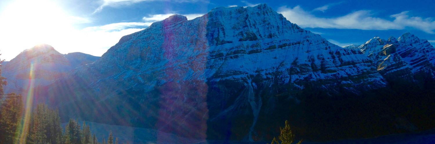 Lesleanne Blakeley banner