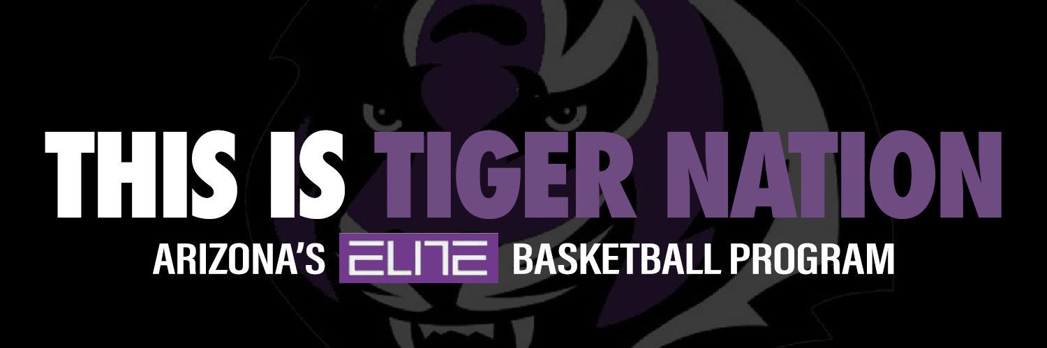 Millennium Basketball's banner