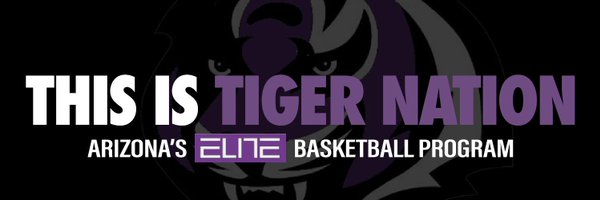 MillenniumHoops Profile Banner