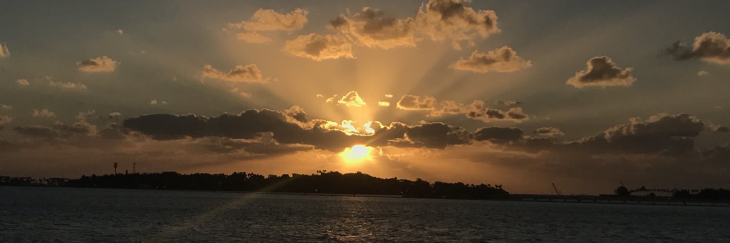 angil_ross's profile banner image