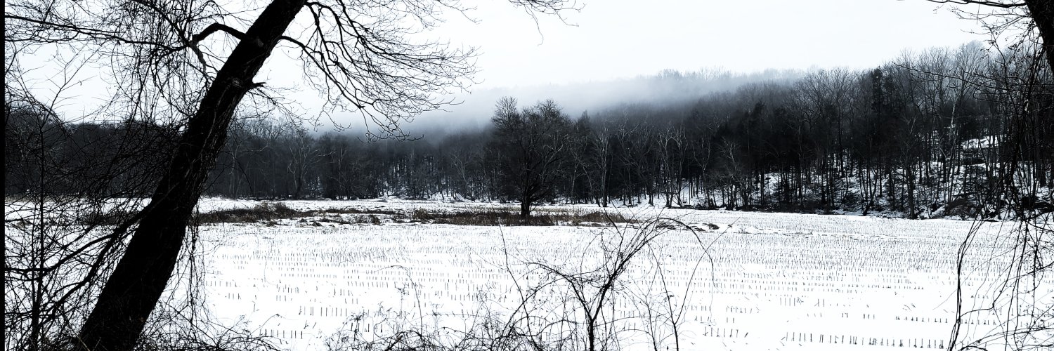 ThisWhiteMt's profile banner image
