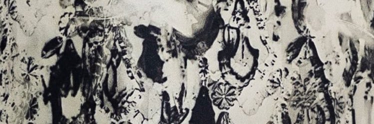 echieLIA's profile banner image