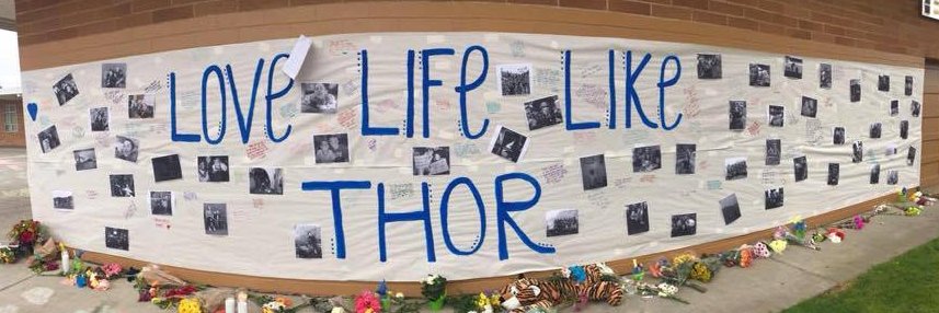 Brandon Gabor banner