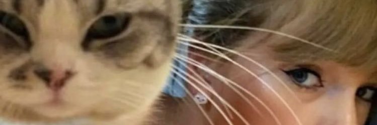 obviouside's profile banner image
