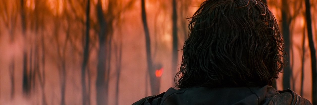 severeddestiny's profile banner image