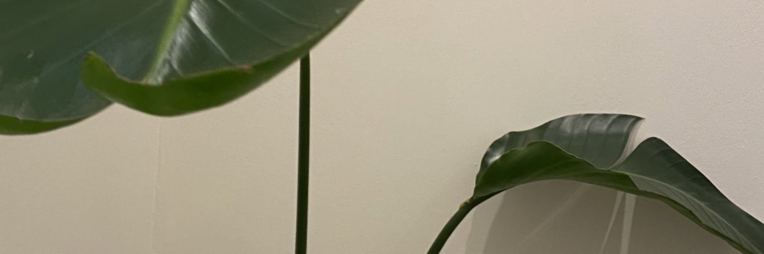 kucukkusss's profile banner image