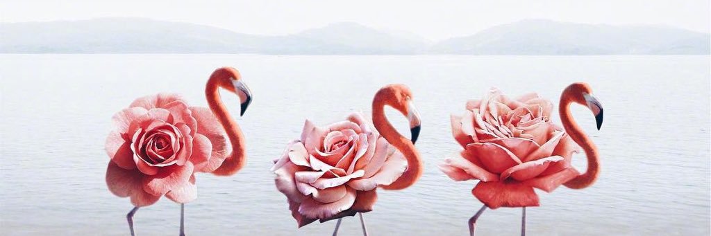 ᛋᛁᚾᛖ don't wike it banner