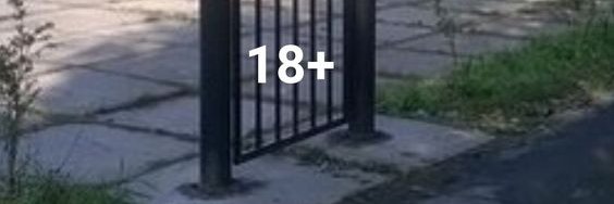 🐗BOARRED🌶️ Commissions open banner