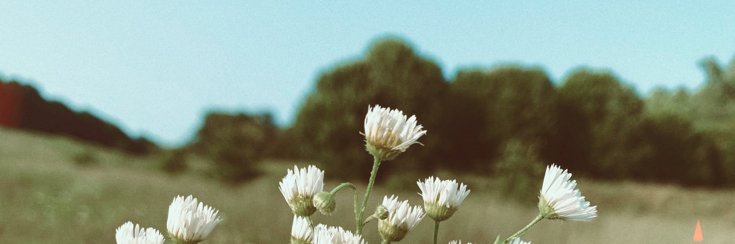 Sarahvelt's profile banner image