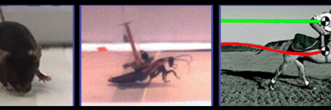 Andrew Spence banner