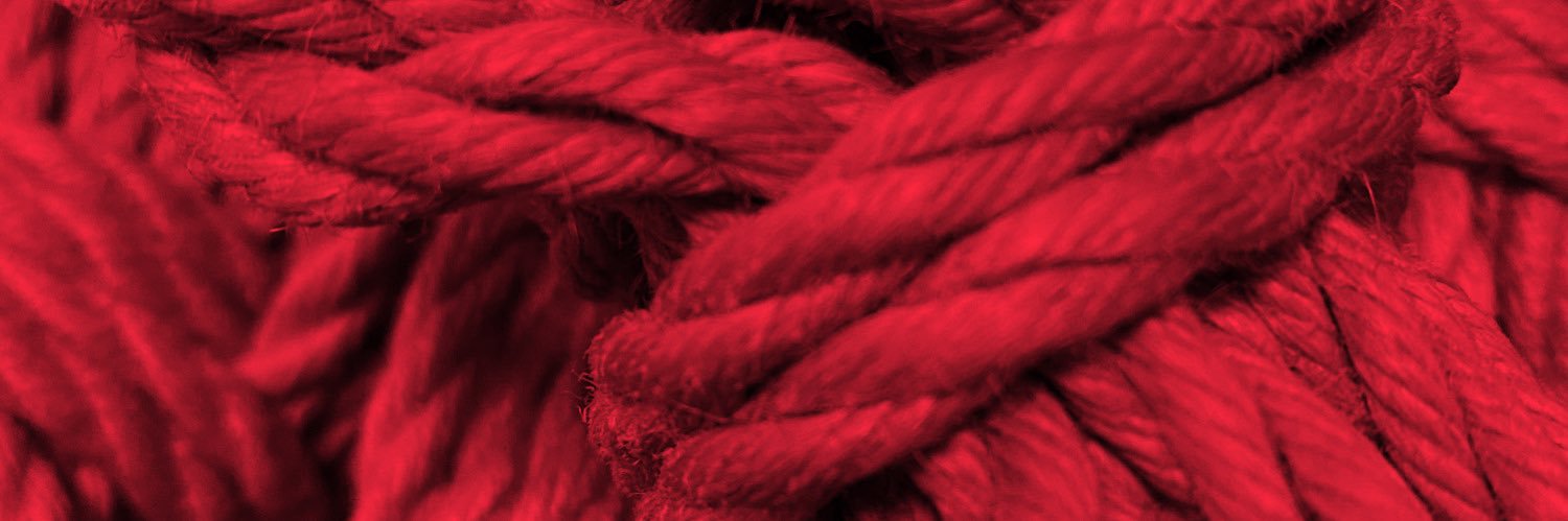 LSF … ’Hi I’m Sam’ 🔜 Europe & Asia banner