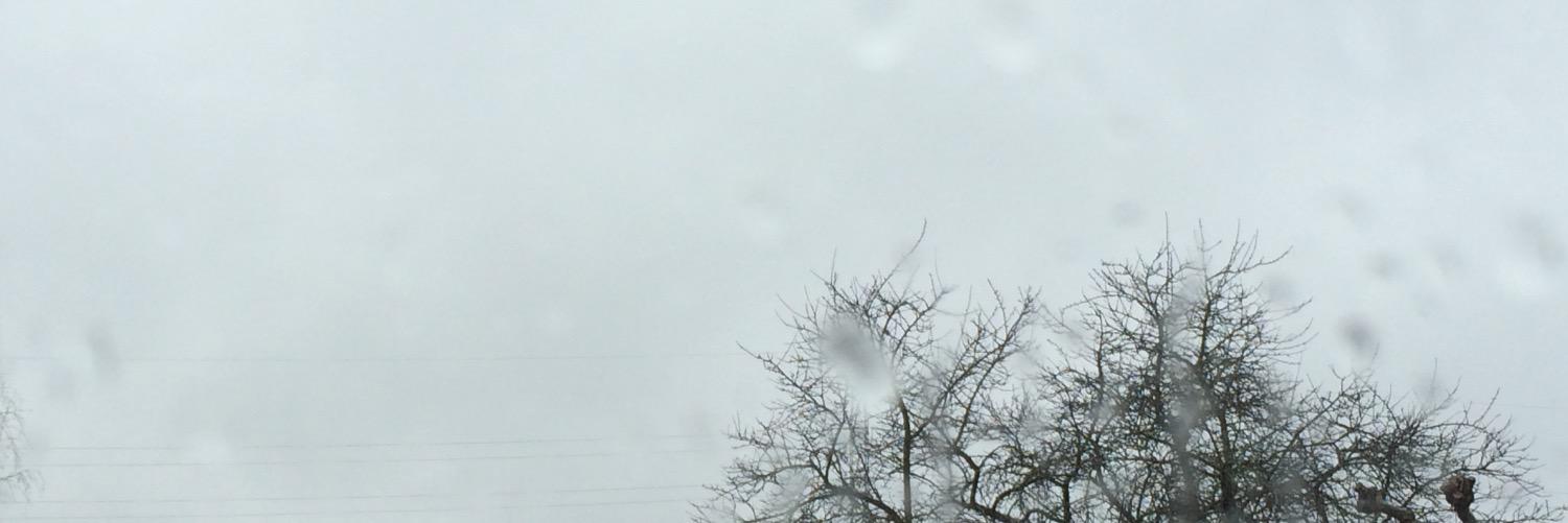 nicwijn's profile banner image