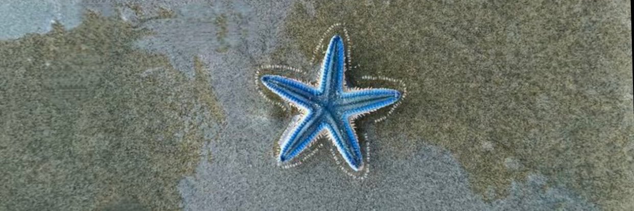 Micheleperhe's profile banner image