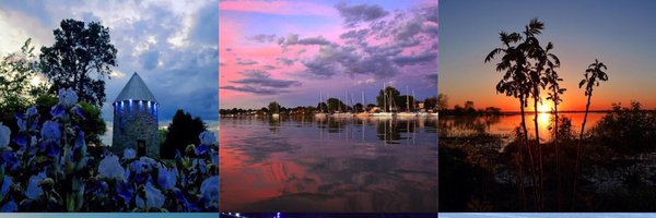 MaudAllaire Profile Banner