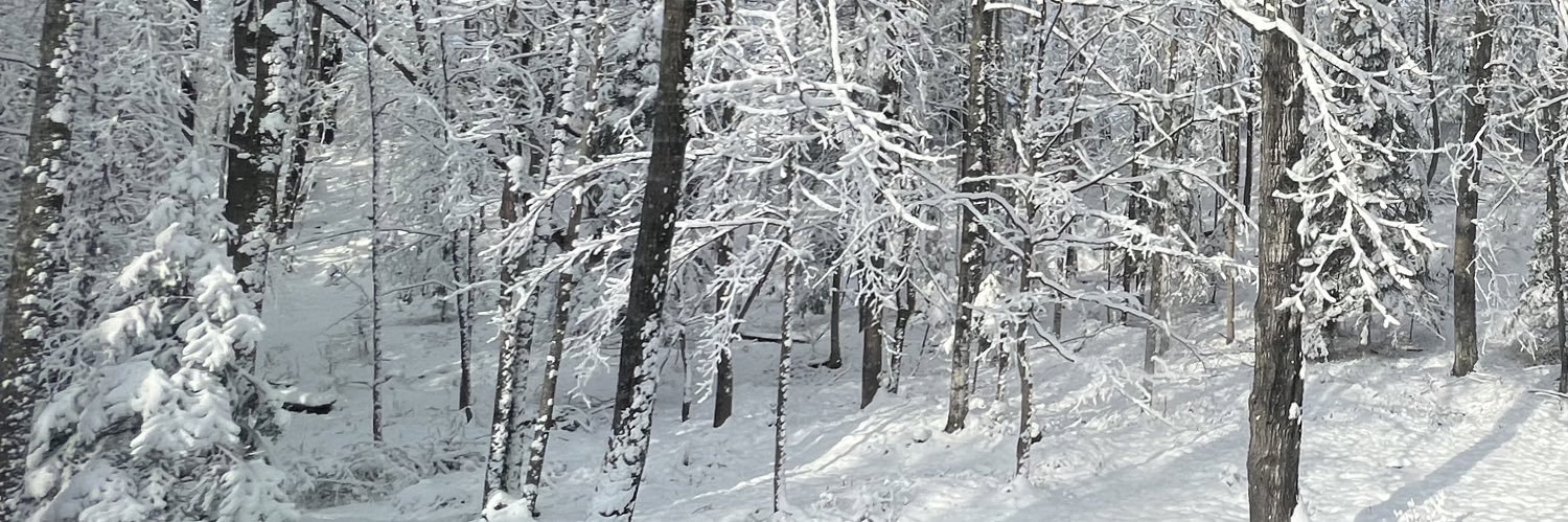 brdjx's profile banner image