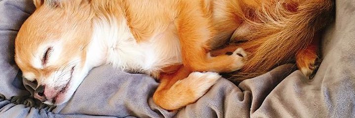 _mljn_'s profile banner image
